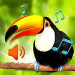Birds Sounds Ringtone icon