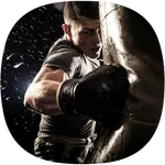 Boxing Skills Guide icon