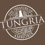 Tungria icon