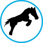 YABUSAME icon