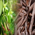 vanilla cultivation icon
