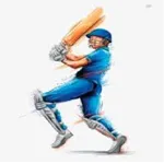 Cricket Batting Records icon