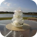 DIY Wedding Decorating Ideas icon