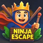 Ninja Escape icon