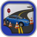 DVM VIRGINIA DRIVING TEST icon