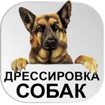 Дрессировка собак Тренировки icon