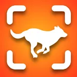 Dog Identifier - Scan with AI icon