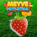 Fruit Blasting icon