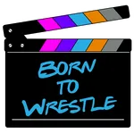 Born to Wrestle's Arcade Adven icon