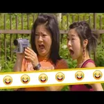 Best Funny Videos for WhatsApp icon