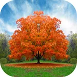 Wochentags - Sticker icon
