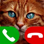 fake call cat game icon