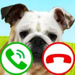 fake call dog game icon