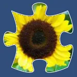 Jigsaw icon