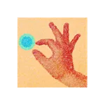 FL GesTure icon
