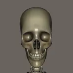 LumbAR icon