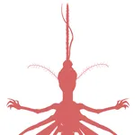 Mosquitos icon