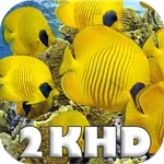 Quad HD 2k animals puzzle icon