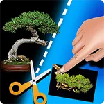 My Bonsai icon