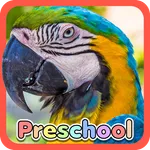 Wild Animal Preschool Games icon