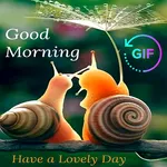 Good Morning Images And Messag icon