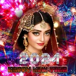 New year photo frame 2024 icon