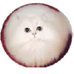 Meme generation icon