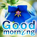 Good Morning Inter icon