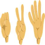 Tas Kagıt Makas icon