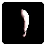 Slender: The Asylum icon