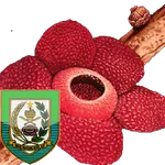 Mengenal Pariwisata Bengkulu icon