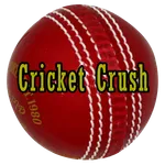 Cricket Crush icon