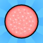 Salami Dash icon