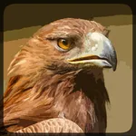 Eagle Hunting Journey icon