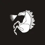 Radviliškiečio Kortelė Verslas icon