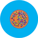 Cell Models icon