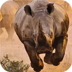 Rhino. Animal Wallpapers icon