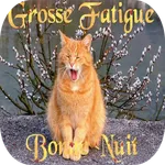 Bonne Nuit Images icon