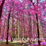 Nature Documentary icon
