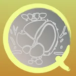 CT PassQuiz Heart / sectional  icon