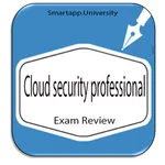 Cloud security professional: C icon