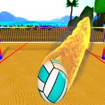 Beach Volleyball icon