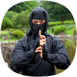 Ninjutsu Guide icon