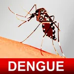 Dengue Fever Cure & Foods Diet icon