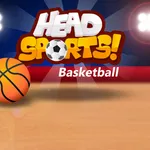 Head Sports Basketball icon