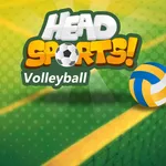 Head Sports Volleyball icon