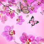 Pink Flowers Live Wallpaper icon