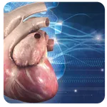 3D Cardiology Small animals icon