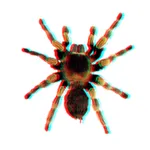 SpiderSplat3D icon