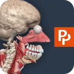 Primal’s 3D Human Anatomy Quiz icon
